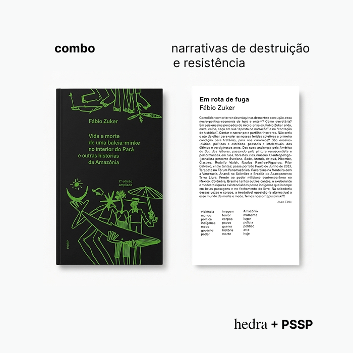 Narrativas de destruição e resistência
